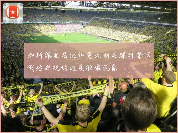 加斯佩里尼批评意大利足球对禁区倒地犯规的过度敏感现象
