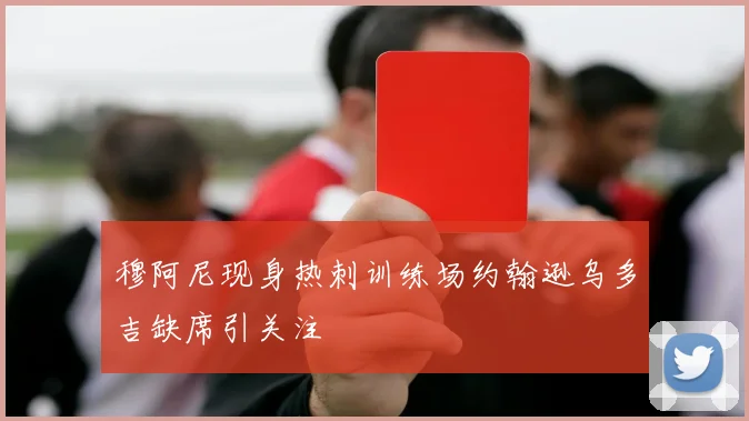穆阿尼现身热刺训练场约翰逊乌多吉缺席引关注