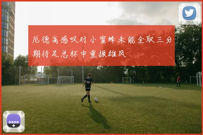 厄德高感叹对小蜜蜂未能全取三分期待足总杯中重振雄风