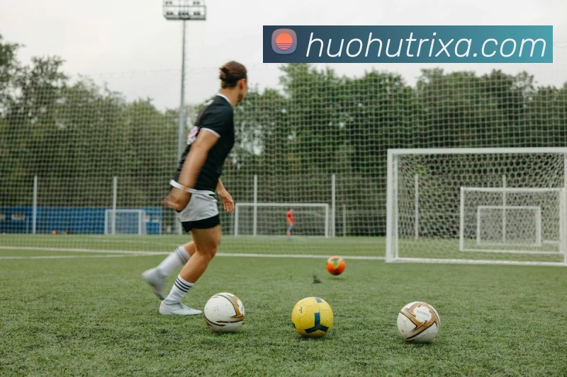 火狐体育平台生态图